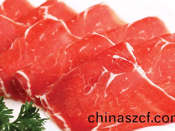 鮮(xian)肉(rou)切片機-落(luo)地式(shi)
