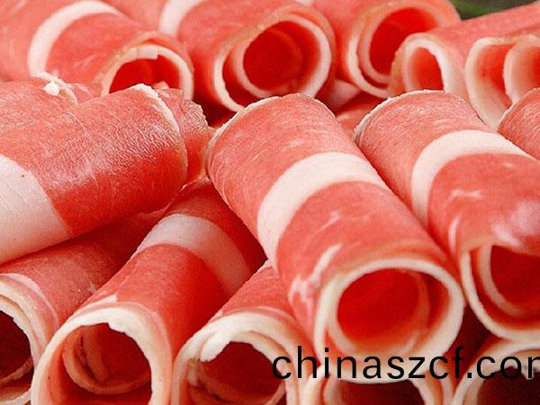 凍(dong)肉切片機-落(luo)地(di)式350